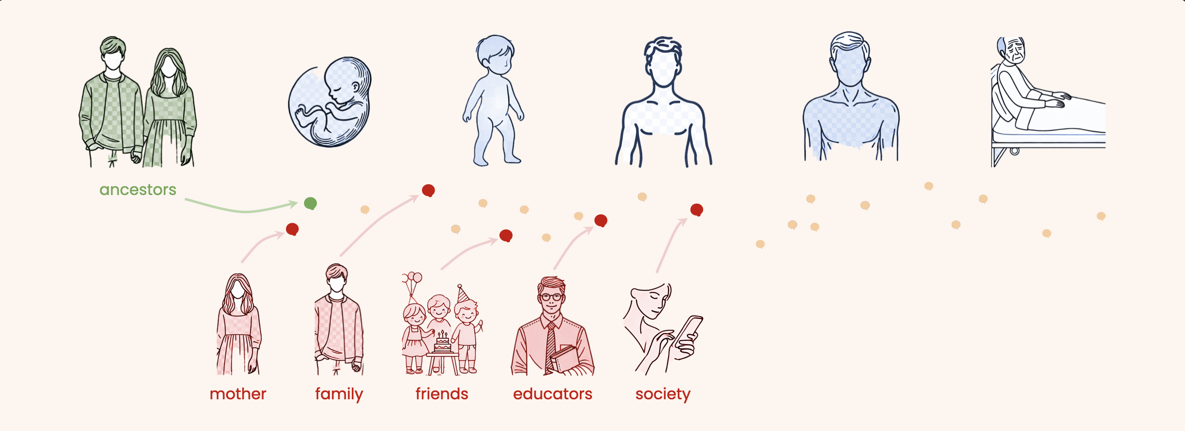 Transmission: along the top, ancestors, an embryo, a child, an adult and an elder; below in red, mother, family, friends, educators and society — each handing seeds into the same stream.